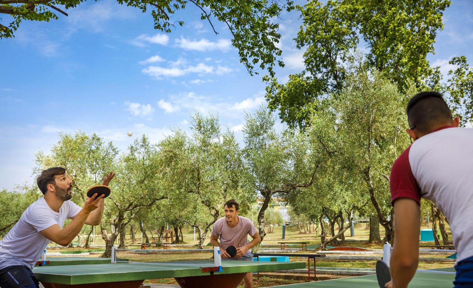 Aminess Planet Camping Maravea Resort - Pitches Novigrad  ภายนอก รูปภาพ