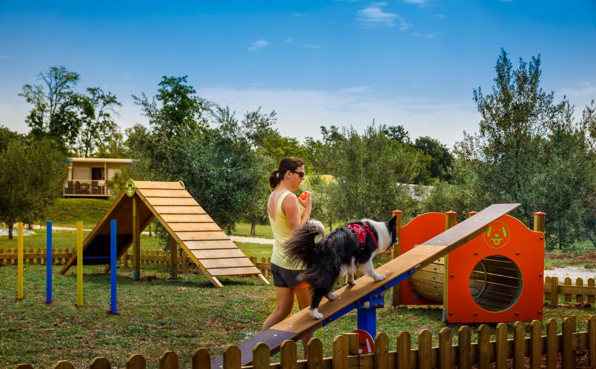 Aminess Planet Camping Maravea Resort - Pitches Novigrad  ภายนอก รูปภาพ